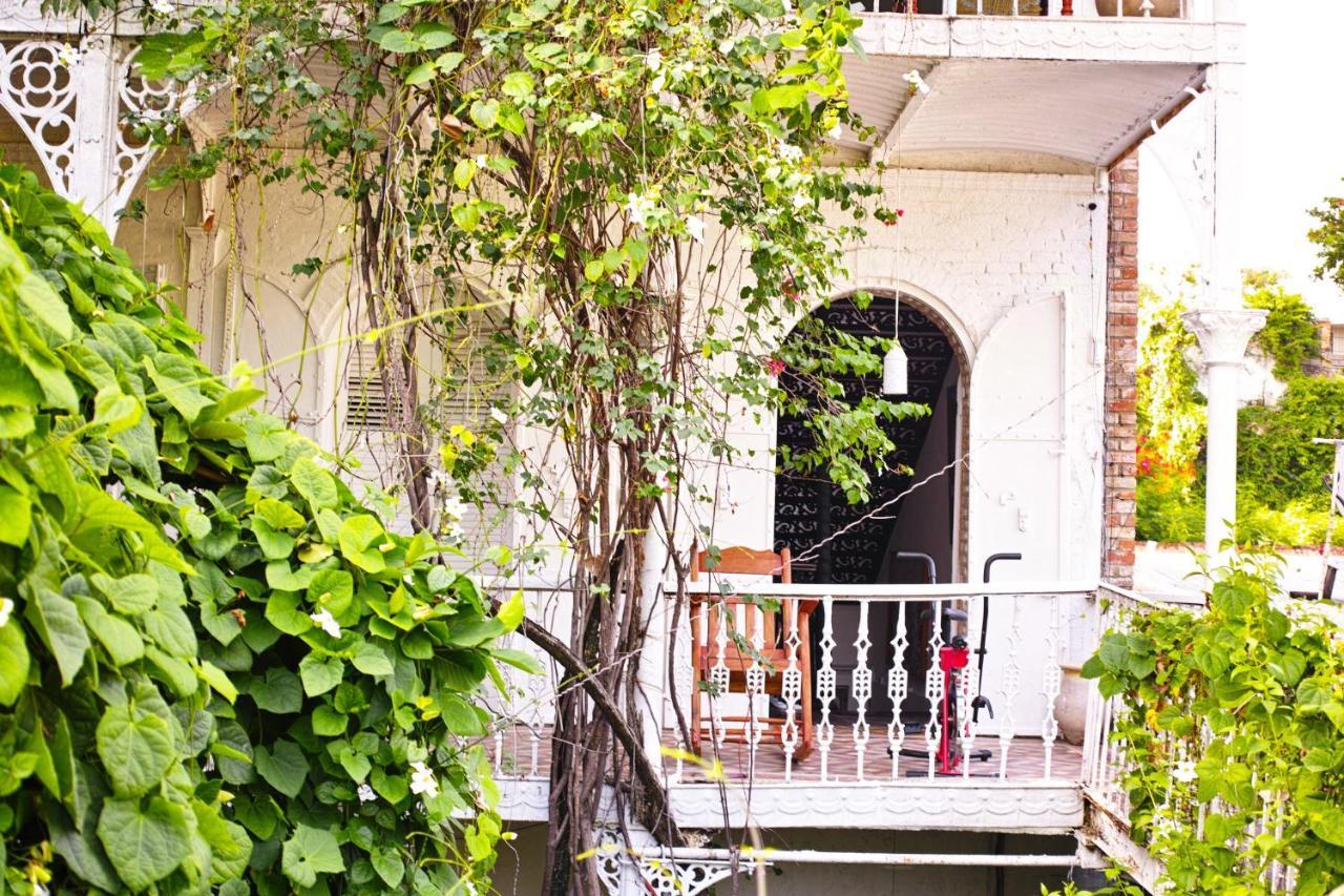 Hotel Florita Jacmel Zewnętrze zdjęcie